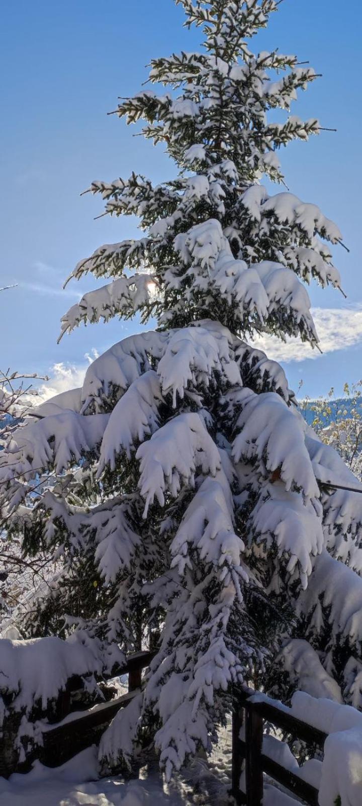 Chepelare Holiday Guest House Εξωτερικό φωτογραφία